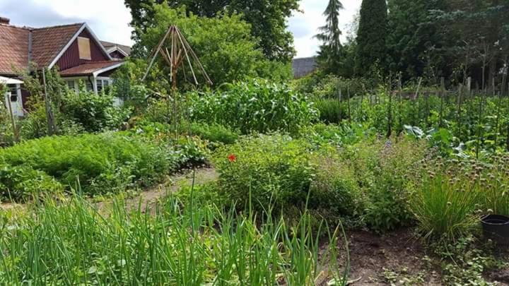 Jen'S B&B Ljungbyhed Zewnętrze zdjęcie